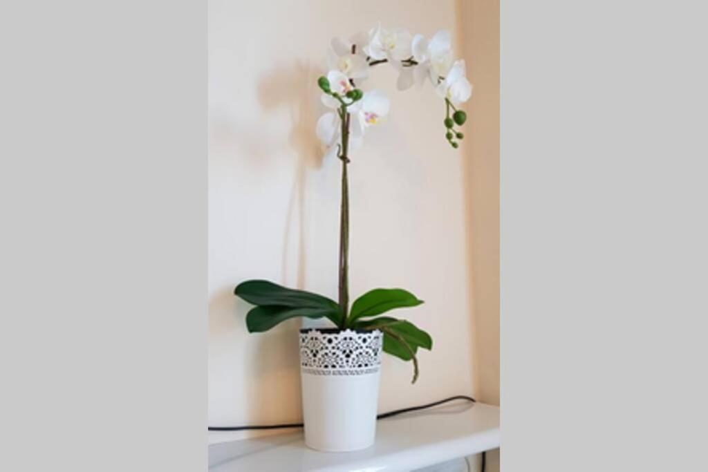 Cozy Modern Apartment Astoria Magic Orange Old Town Krasków Εξωτερικό φωτογραφία